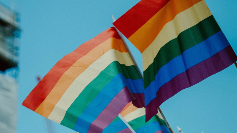 picture for projectStory: Two pride flags in the wind in front of a light blue clear sky.