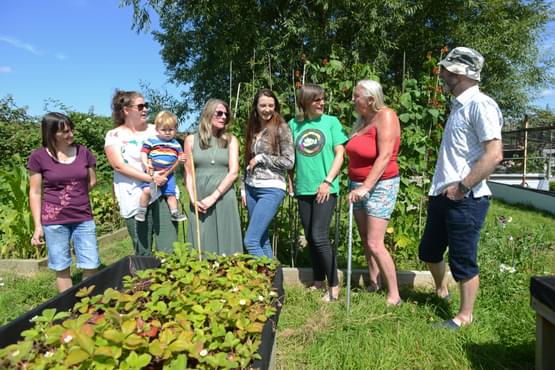 Several people gather in a community garden