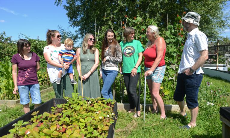 Several people gather in a community garden