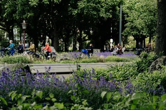 People cycling through a park with plants in foreground and trees in background.